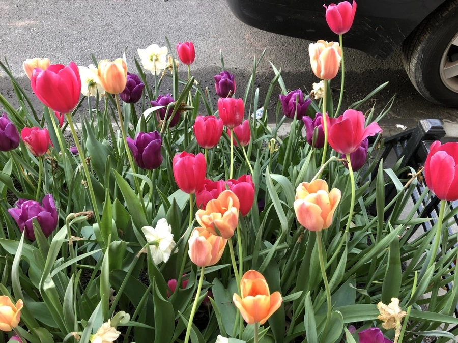 IMG_4379.jpg?type=w966