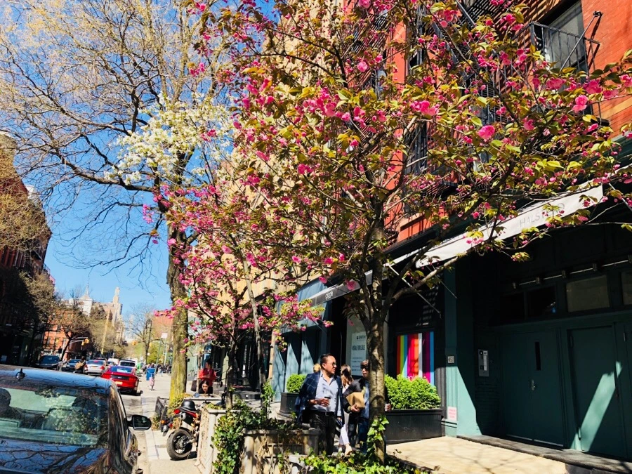 IMG_4802.jpg?type=w966