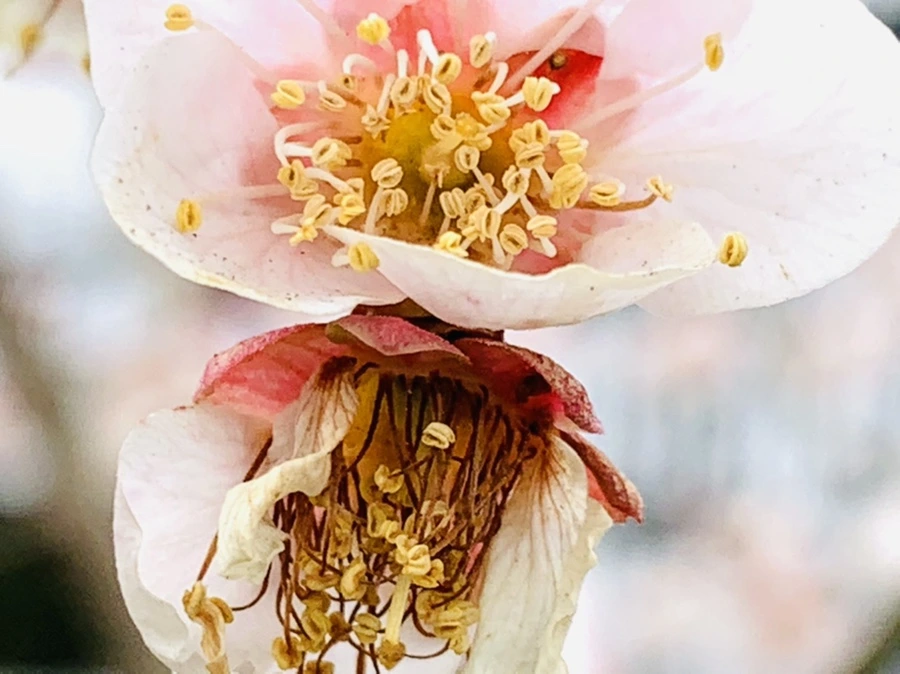 IMG_3592.jpg?type=w966