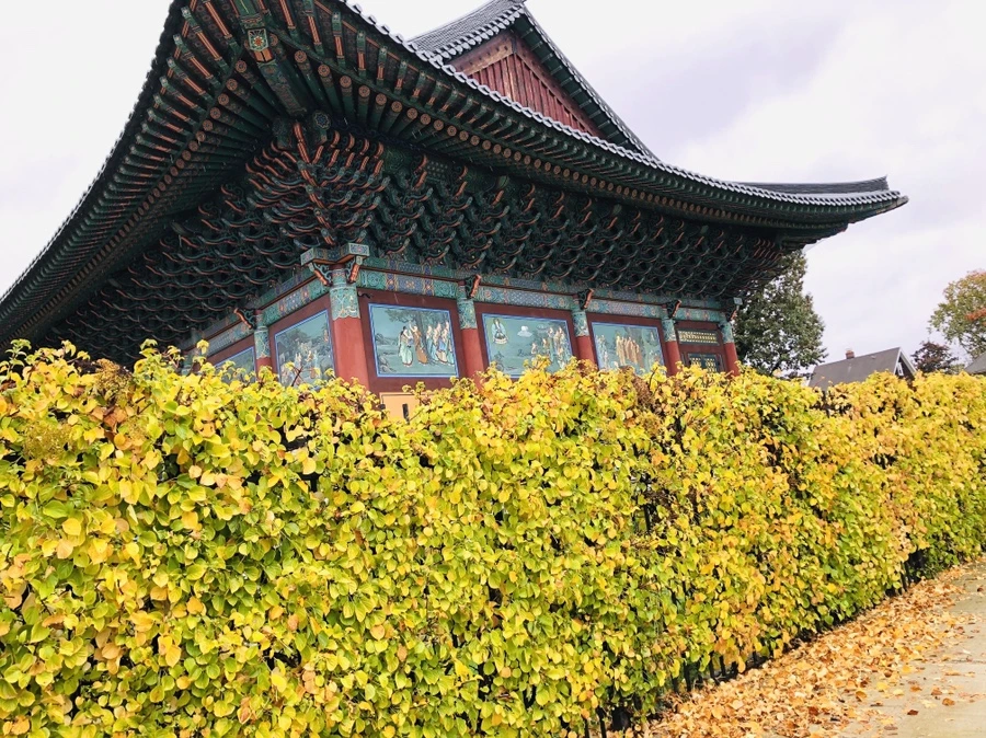 IMG_3148.jpg?type=w966