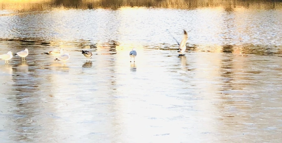 IMG_0860.jpg?type=w966