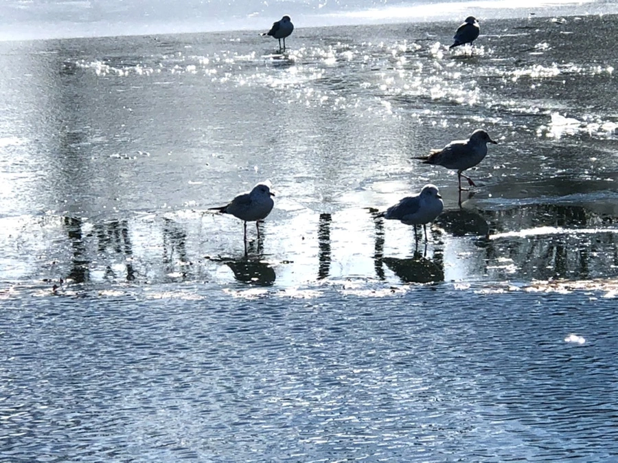 IMG_6869.jpg?type=w966