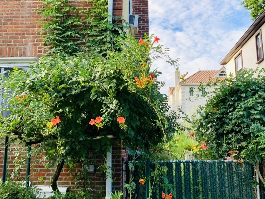 vjb-l03LpCBOeBHlm7oEm5nuwRQ