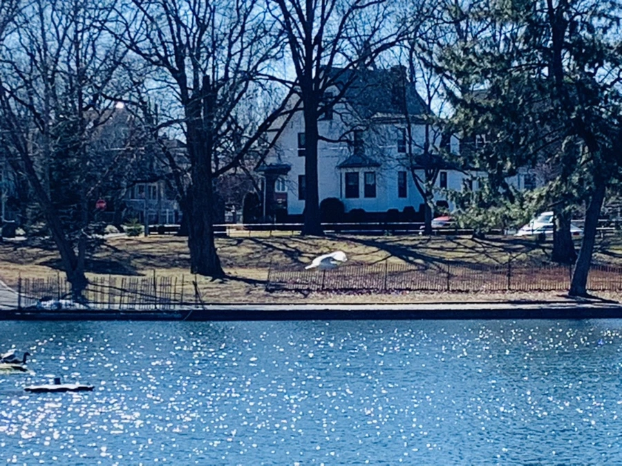 IMG_7650.jpg?type=w966