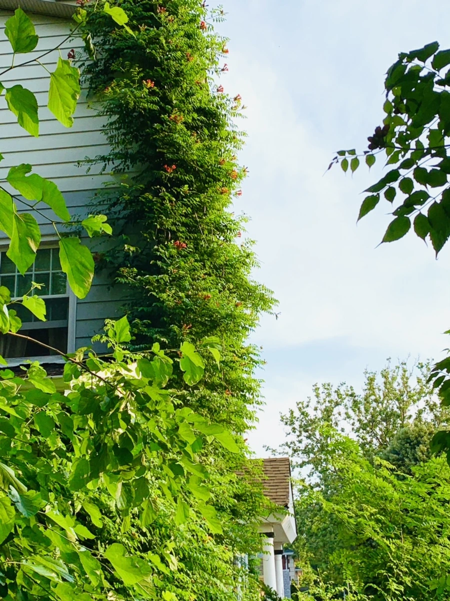 IMG_5017.jpg?type=w966