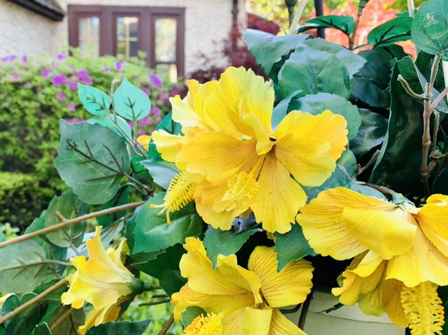 IMG_0401.jpg?type=w966