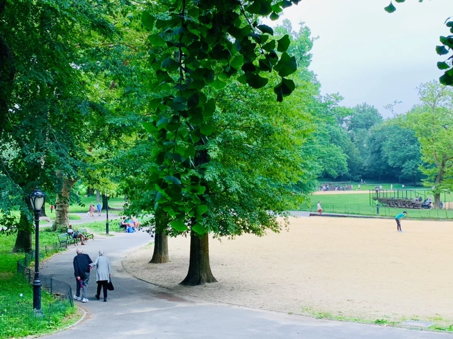 IMG_3301.jpg?type=w966