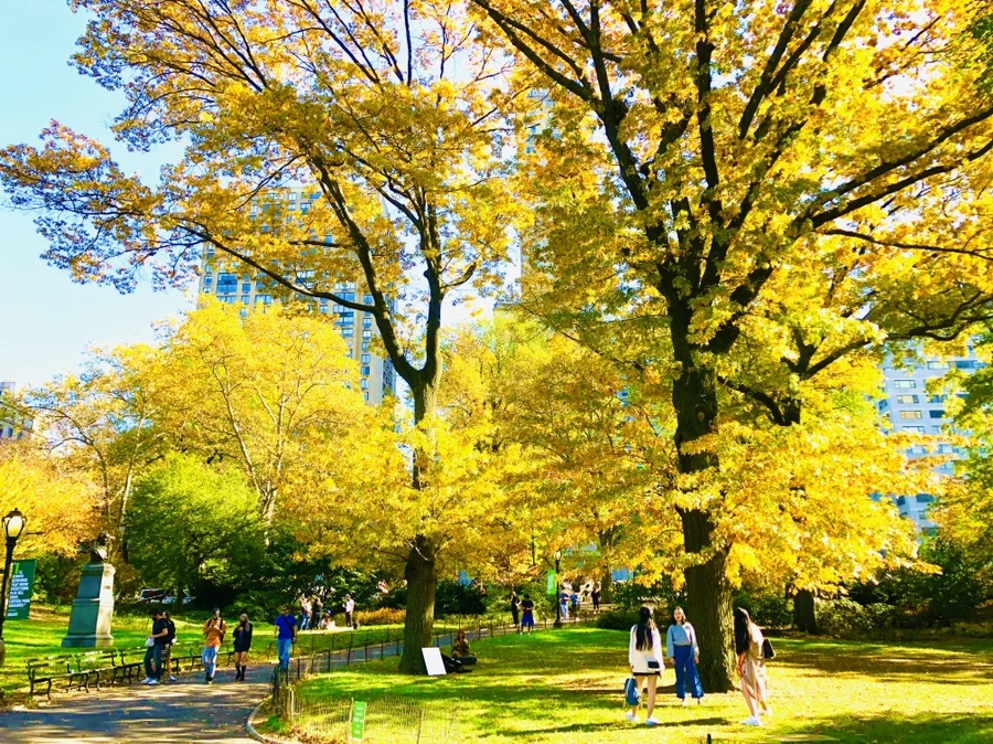 IMG_3771.jpg?type=w966