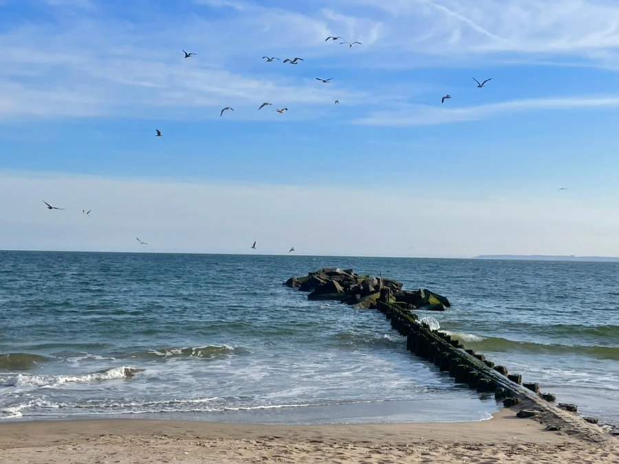 IMG_5093.jpg?type=w966