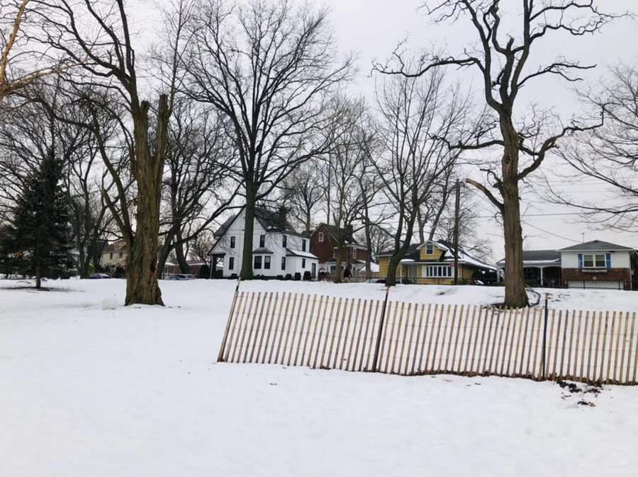 IMG_4394.jpg?type=w966