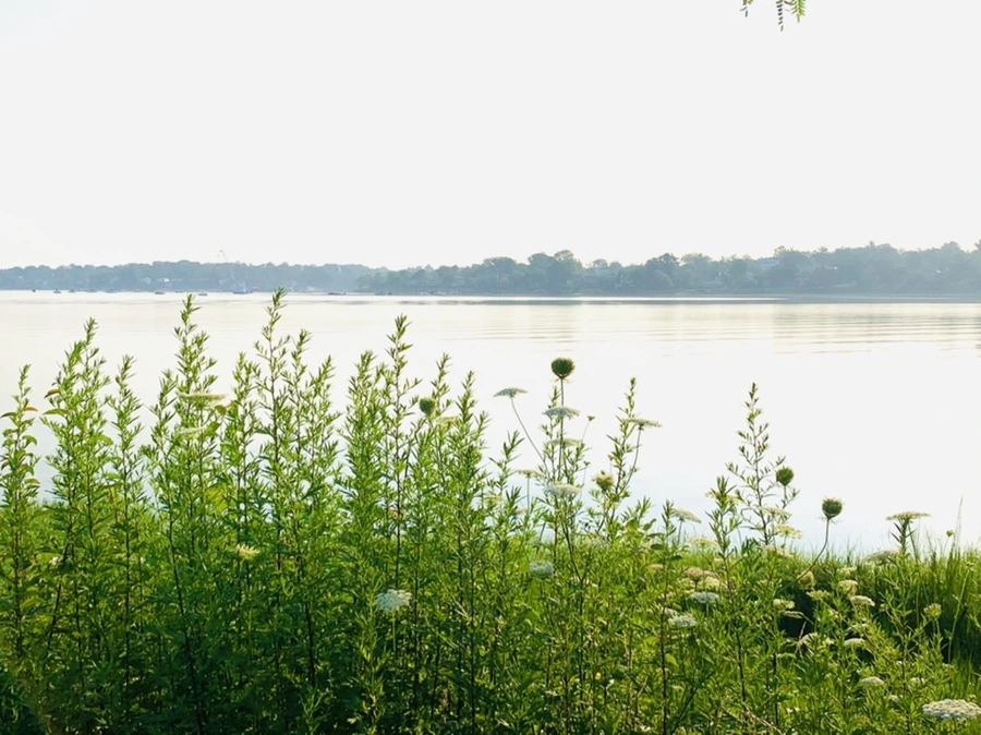 IMG_6464.jpg?type=w966