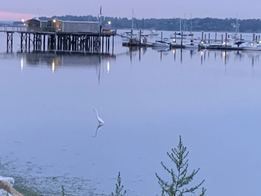 IMG_6197.jpg?type=w966