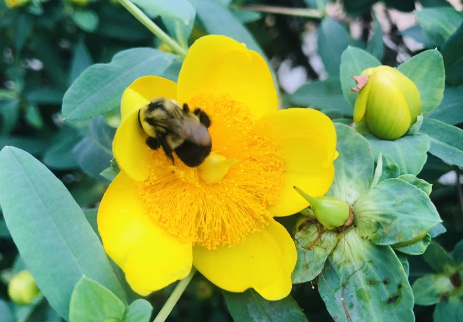 IMG_0627.jpg?type=w966