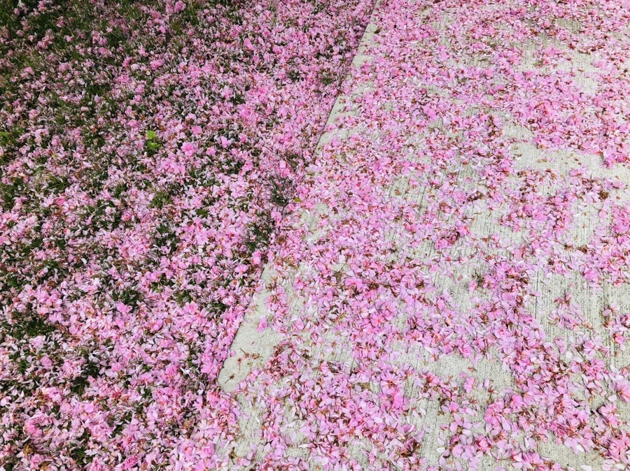 IMG_4086.jpg?type=w966