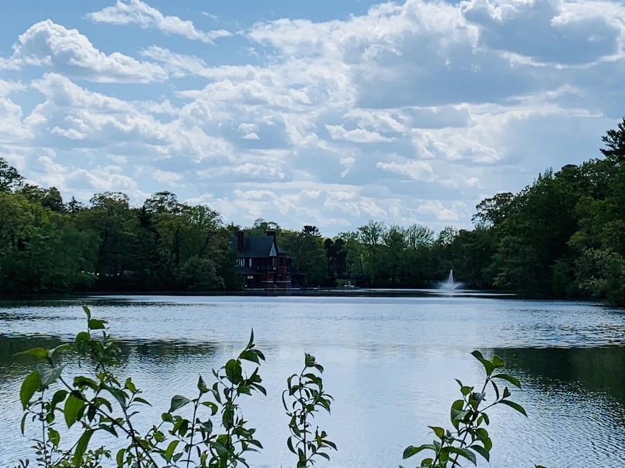 IMG_2444.jpg?type=w966