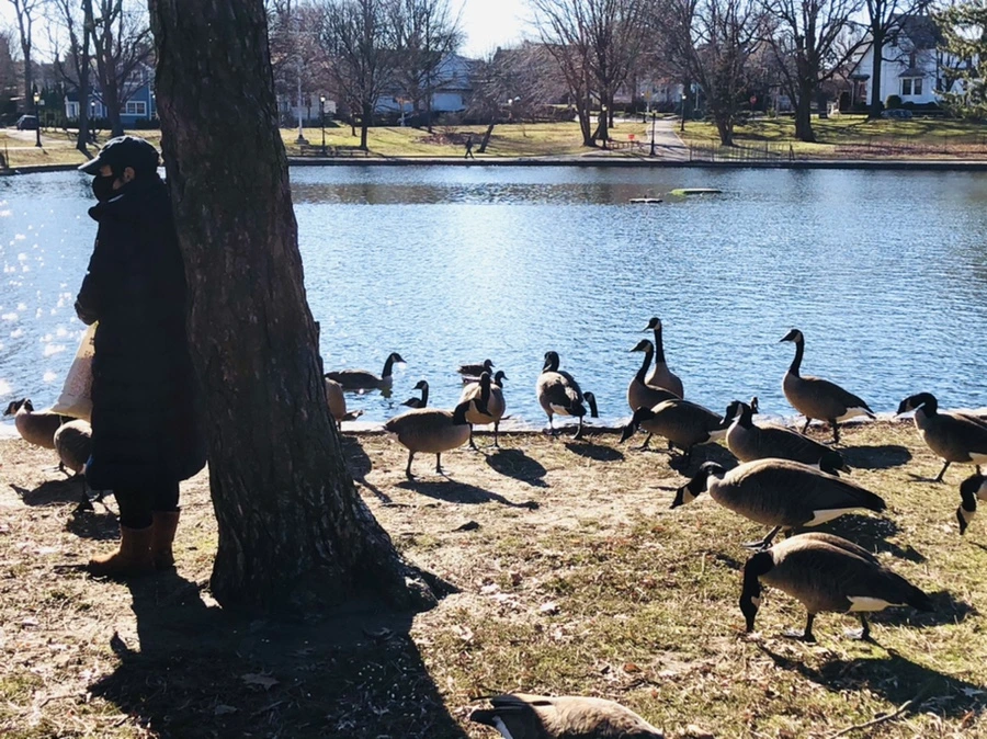 IMG_0201.jpg?type=w966