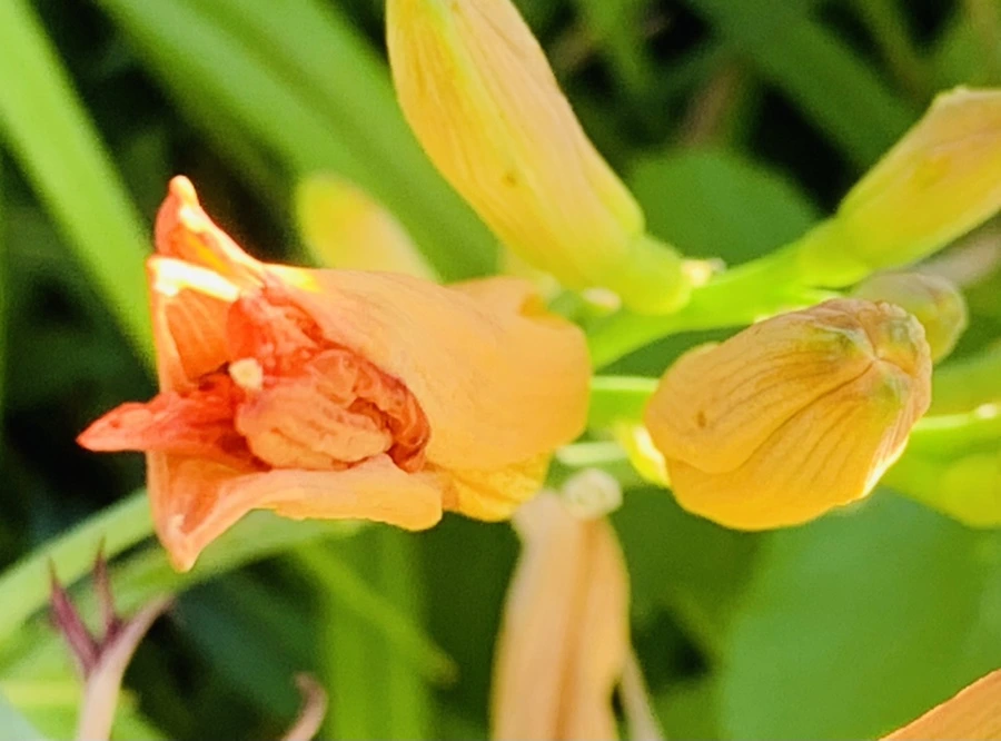 IMG_4869.jpg?type=w966