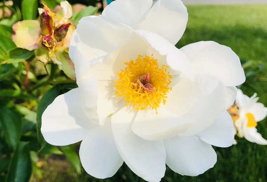 IMG_8752.jpg?type=w966