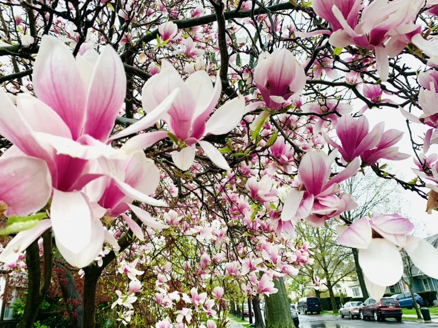 IMG_2349.jpg?type=w966