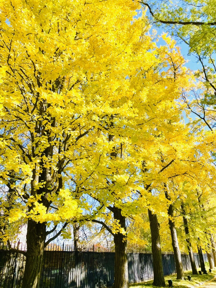 IMG_3022.jpg?type=w966