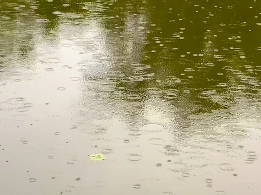 IMG_8307.jpg?type=w966