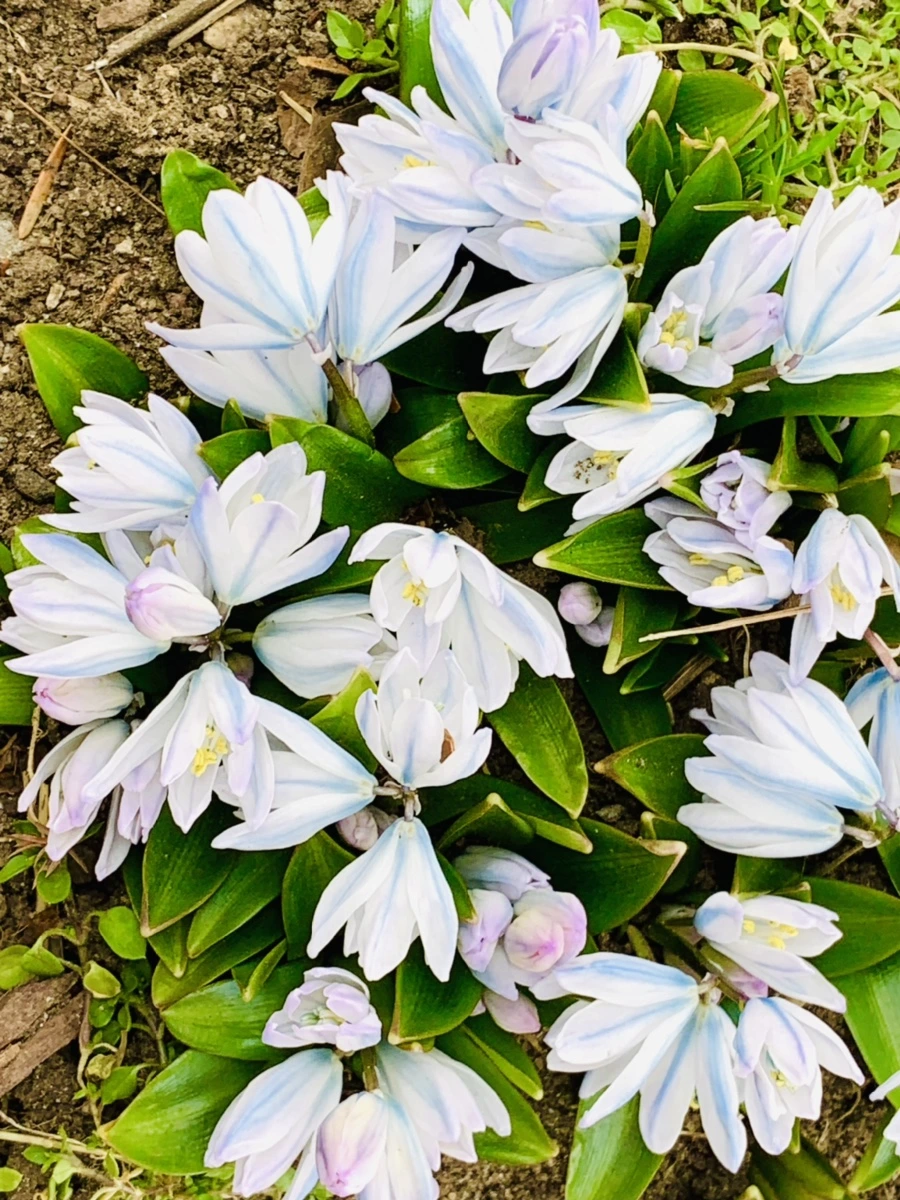 IMG_1716.jpg?type=w966