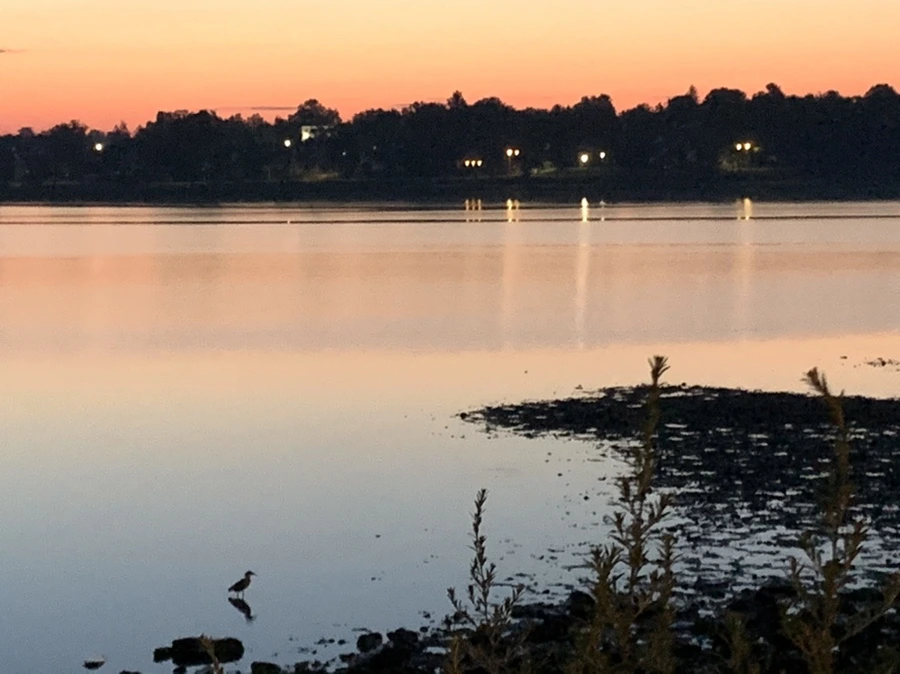 IMG_7003.jpg?type=w966