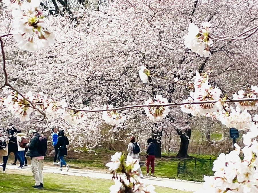 IMG_8909.jpg?type=w966