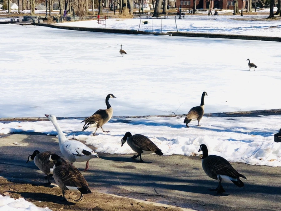 IMG_4877.jpg?type=w966