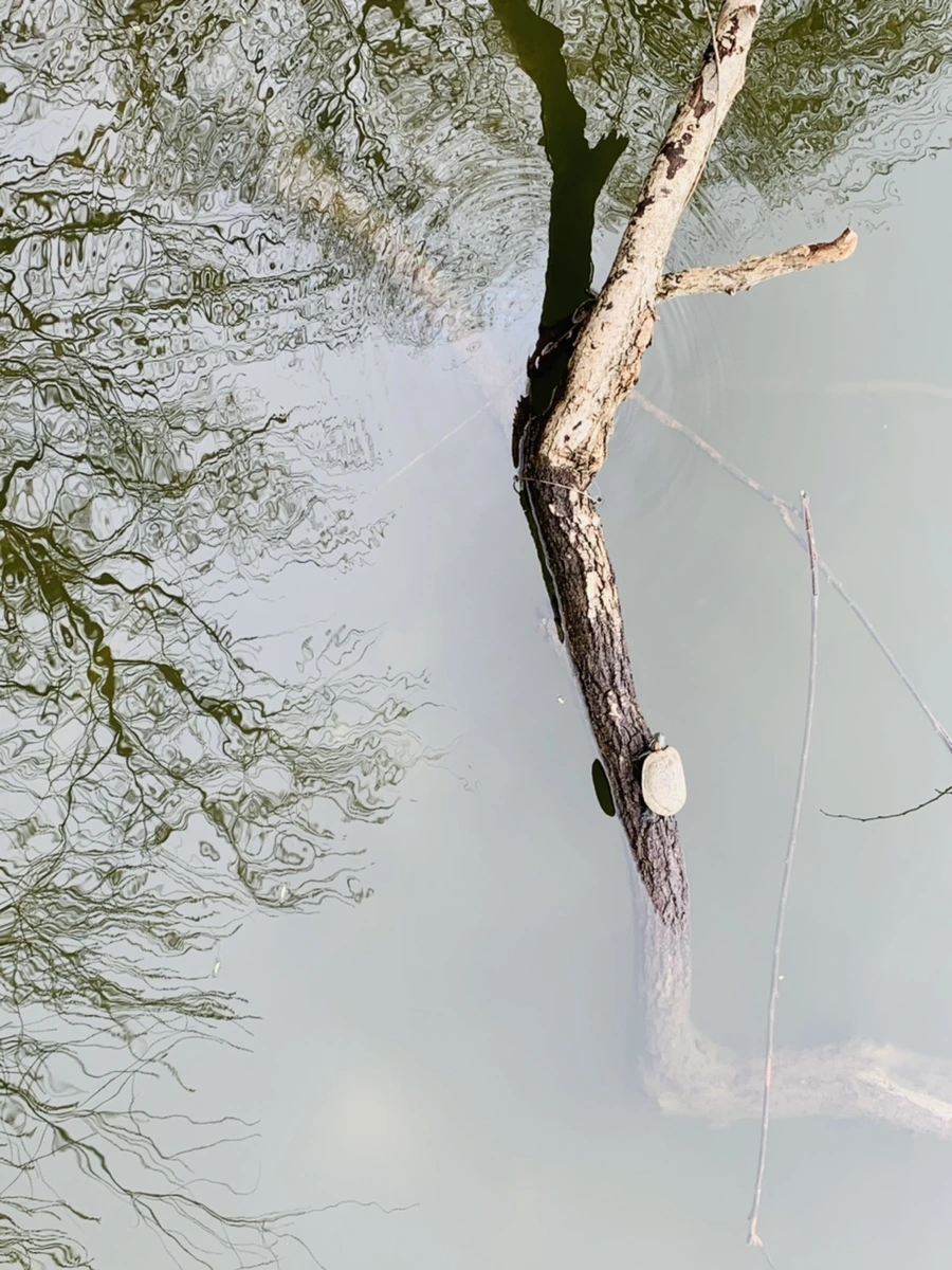 IMG_3840.jpg?type=w966