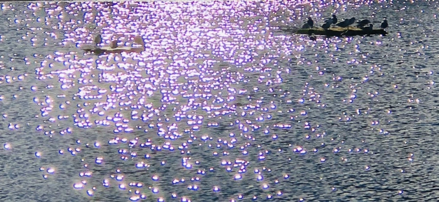 IMG_1223.jpg?type=w966