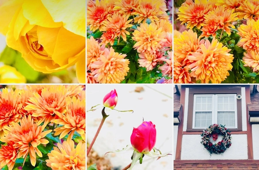 IMG_6227.jpg?type=w966