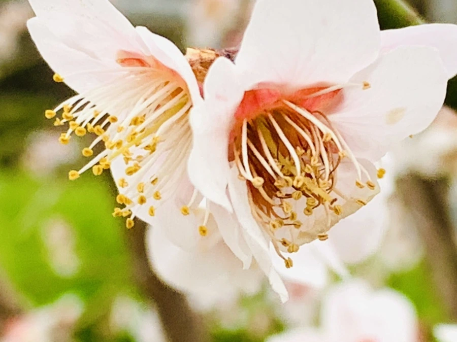 IMG_3563.jpg?type=w966