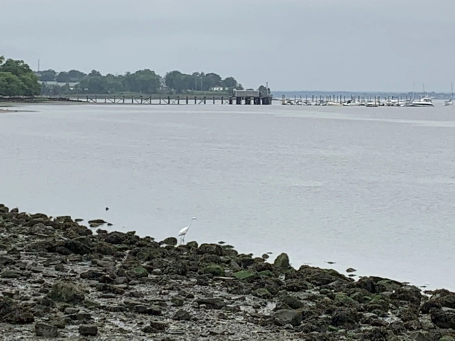 IMG_3647.jpg?type=w966