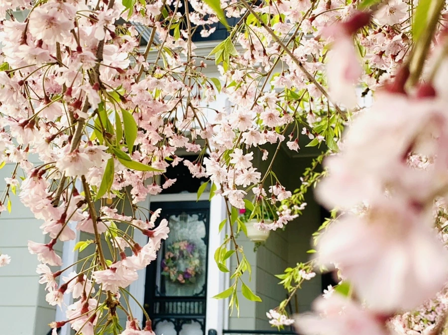 IMG_3695.jpg?type=w966