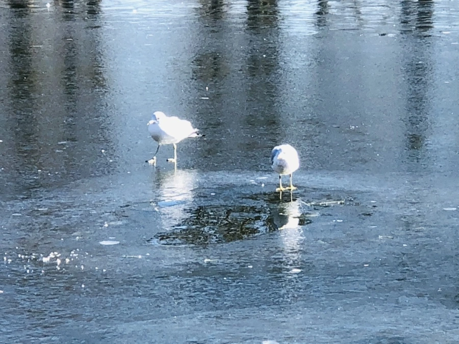 IMG_7789.jpg?type=w966