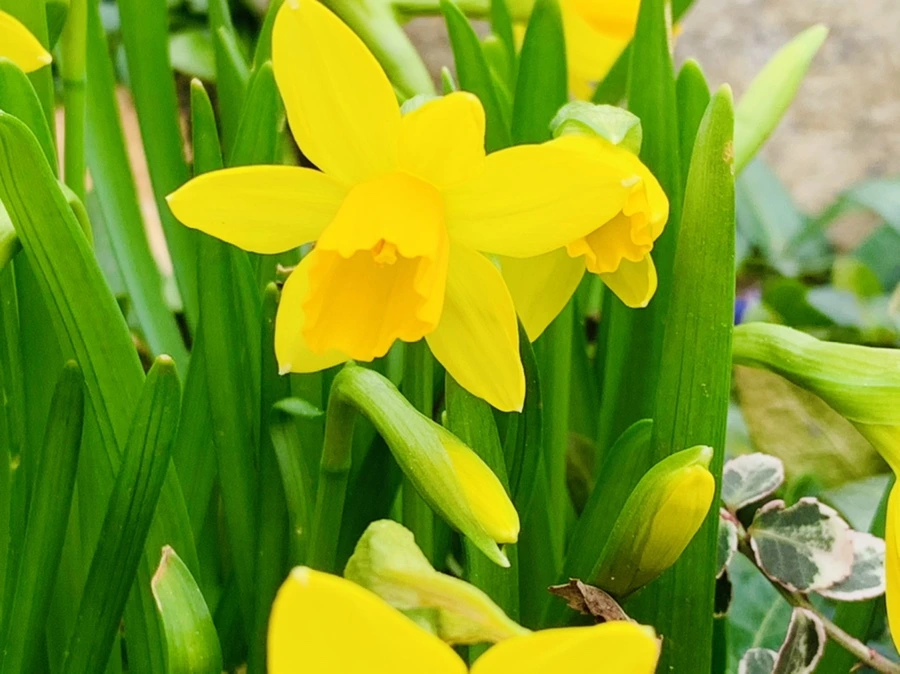 IMG_3214.jpg?type=w966