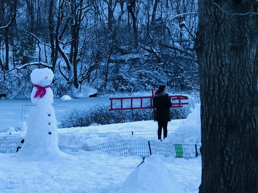 IMG_0054.jpg?type=w966