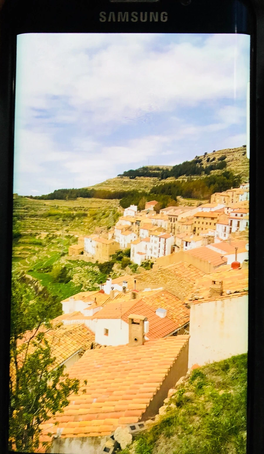 IMG_5915.jpg?type=w966