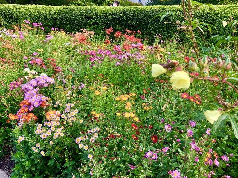 IMG_1984.jpg?type=w966