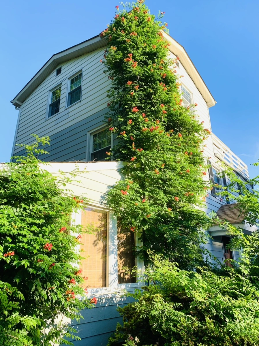 IMG_6488.jpg?type=w966