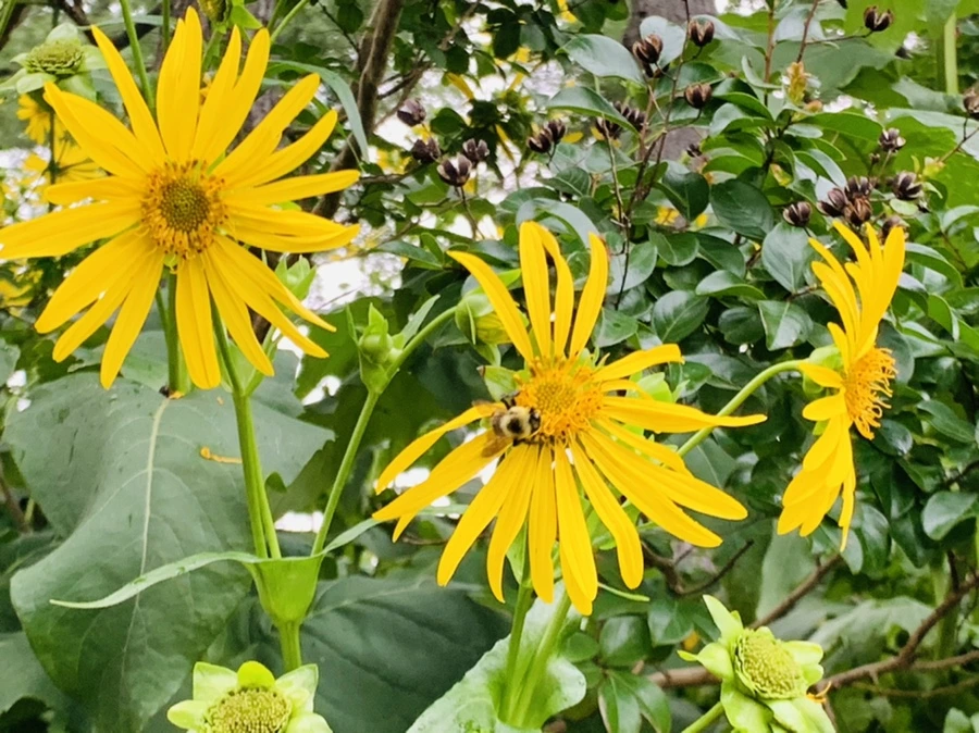 IMG_8788.jpg?type=w966