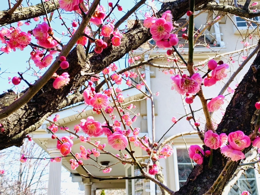 IMG_3006.jpg?type=w966