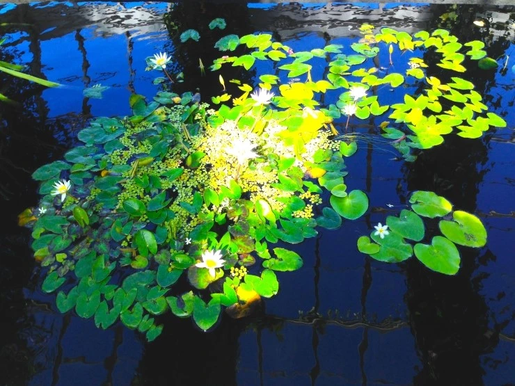 IMG_2961.JPG?type=w2