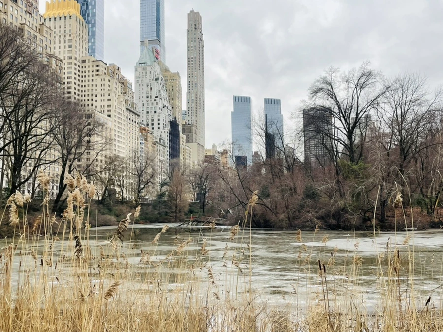 IMG_0275.jpg?type=w966