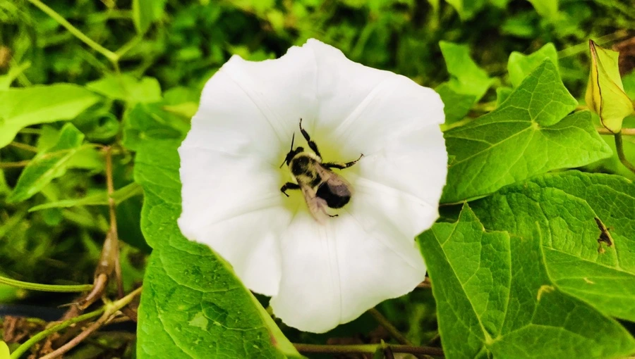 IMG_4314.jpg?type=w966