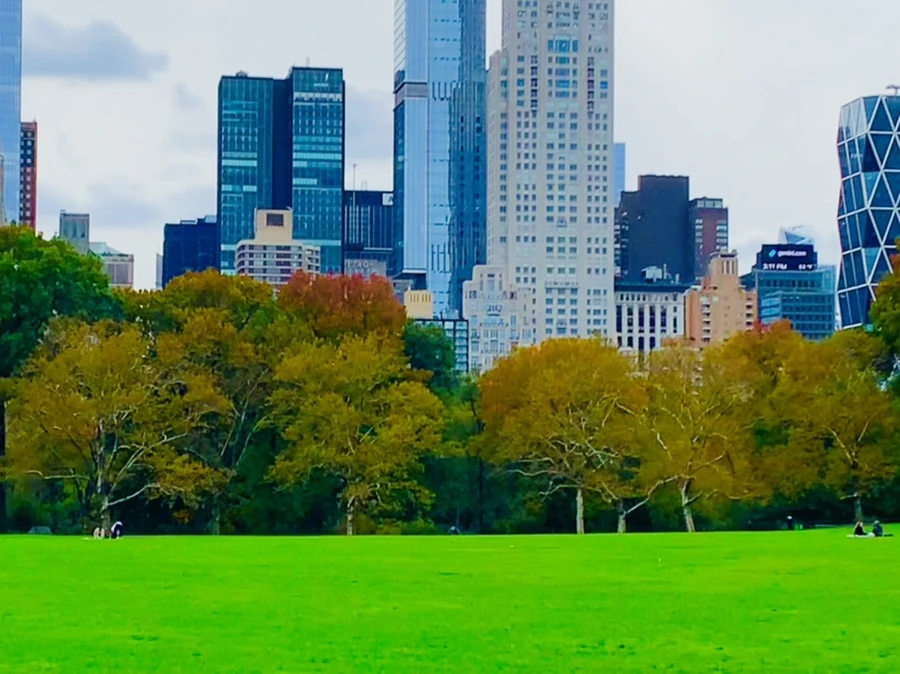 IMG_0229.jpg?type=w966