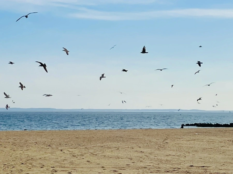 IMG_5033.jpg?type=w966