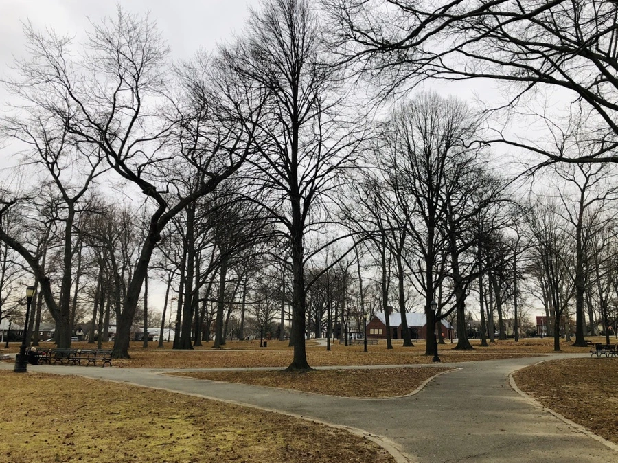 IMG_9062.jpg?type=w966