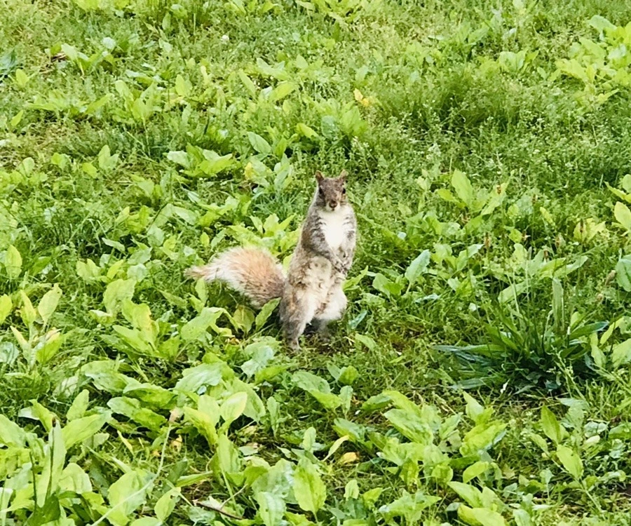 Dva22MGSTmmSwenHWb1zIdI1Q7E